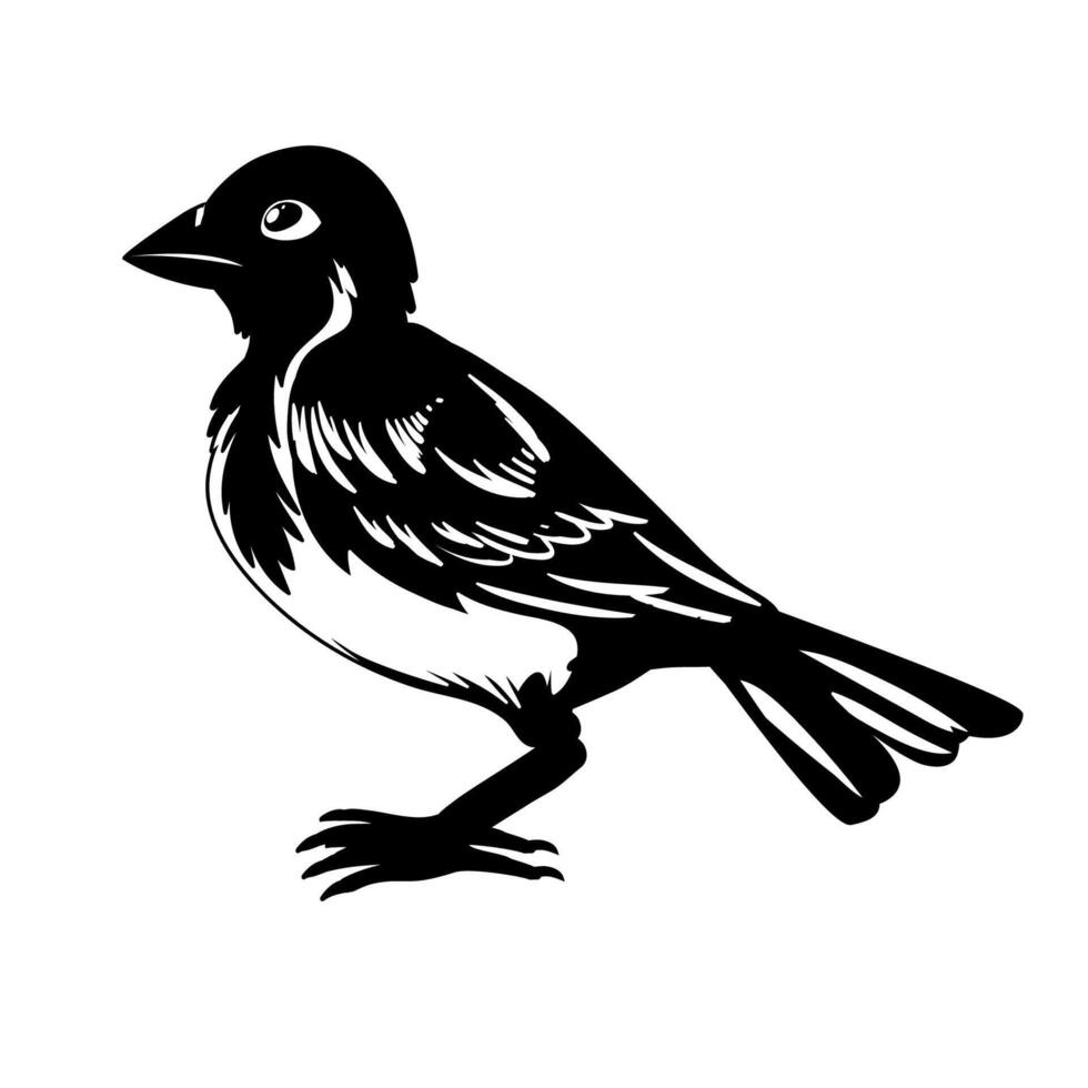 The house bird Sparrow silhouette of standing bird vector
