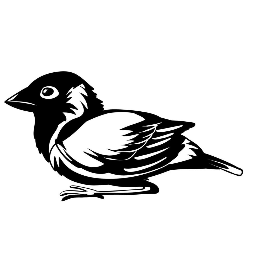 house bird Sparrow silhouette of standing bird . vector