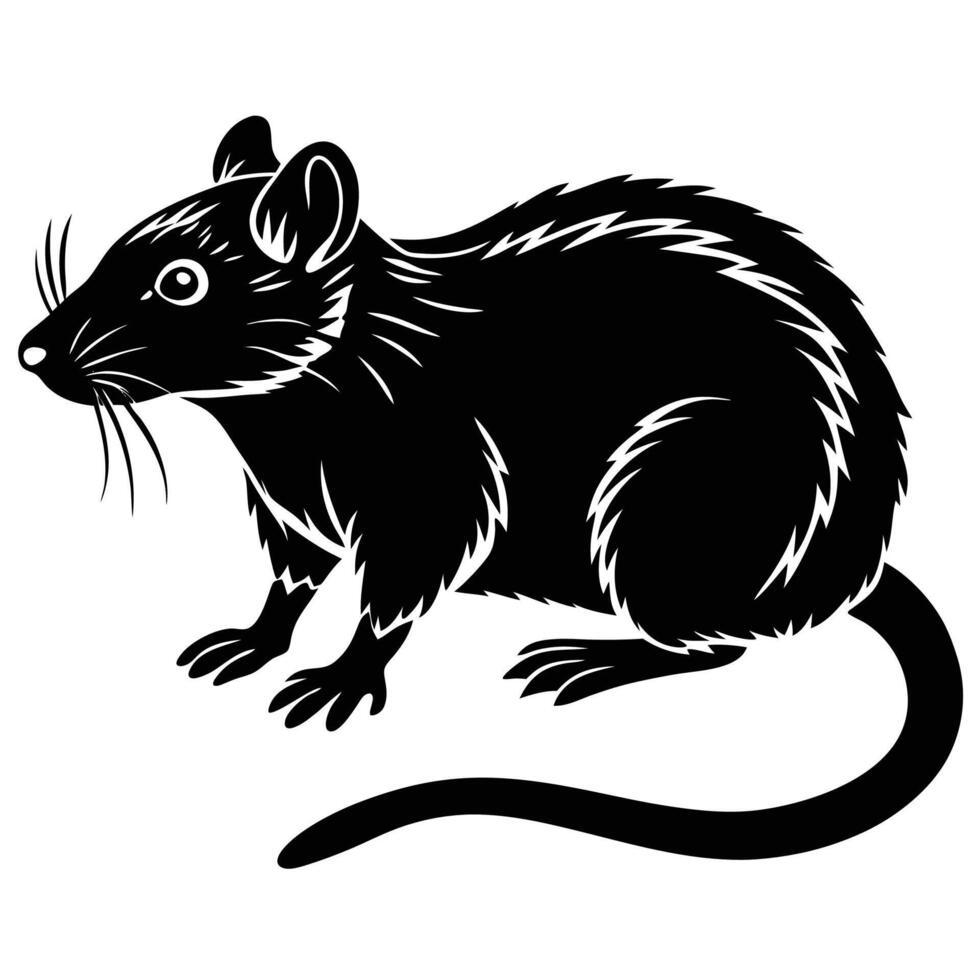 a black and white rat on a white background vector