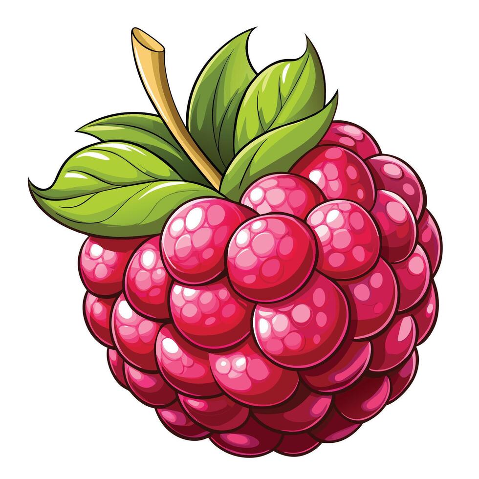 a raspberry is shown with leaves on it vector