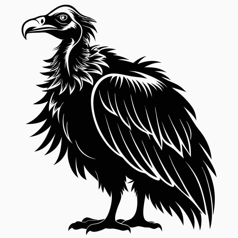 vulture silhouette on white background vector