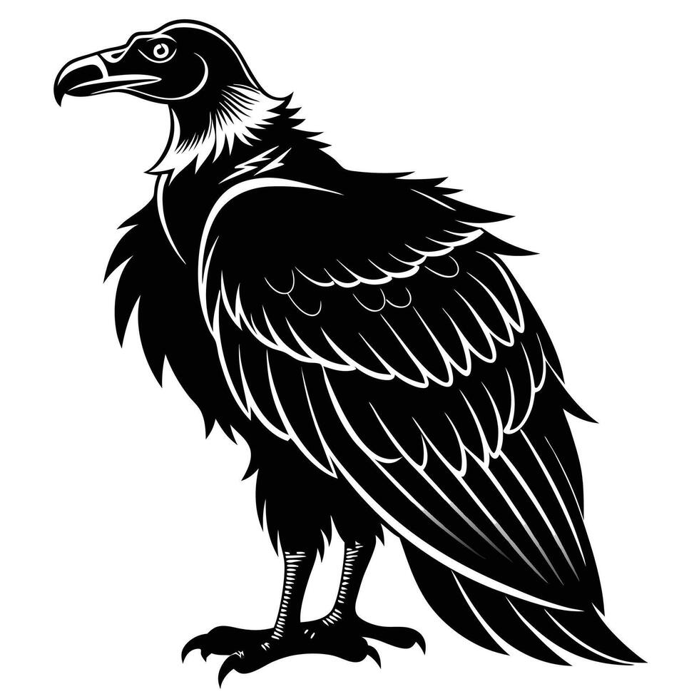 vulture black and white illustration vector