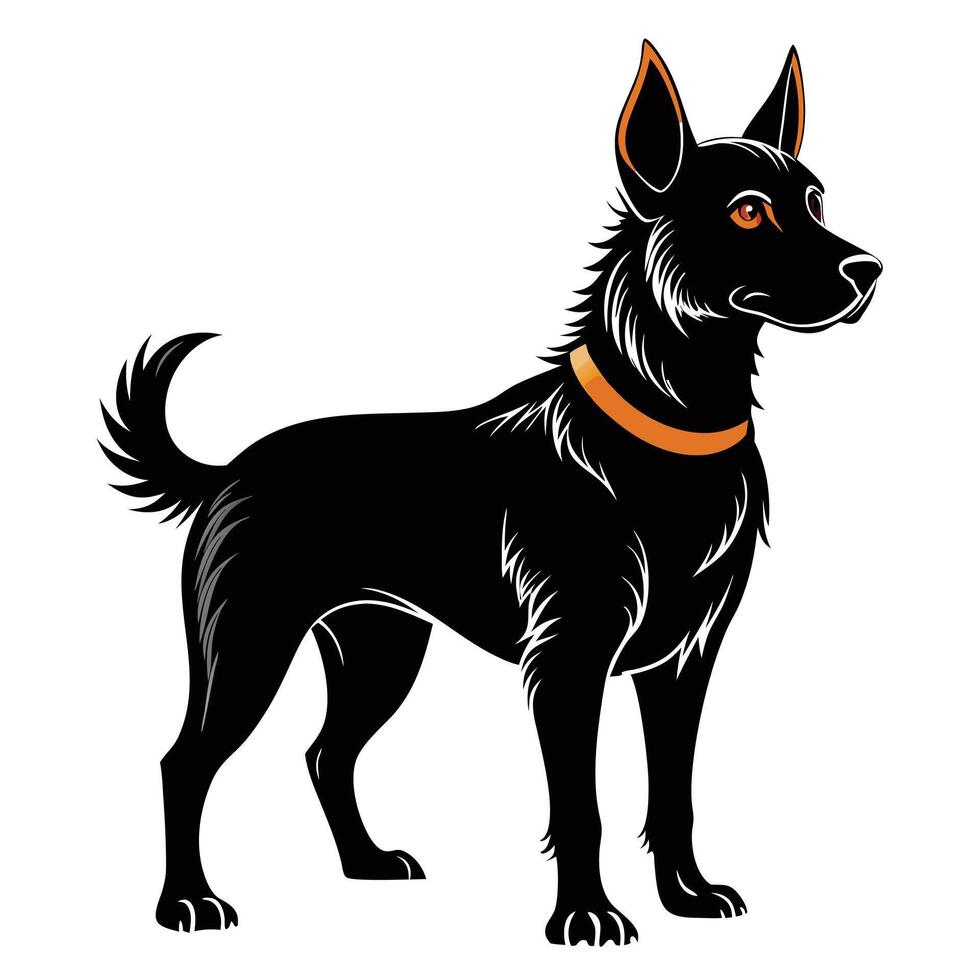 black dog with orange collar standing on white background vector