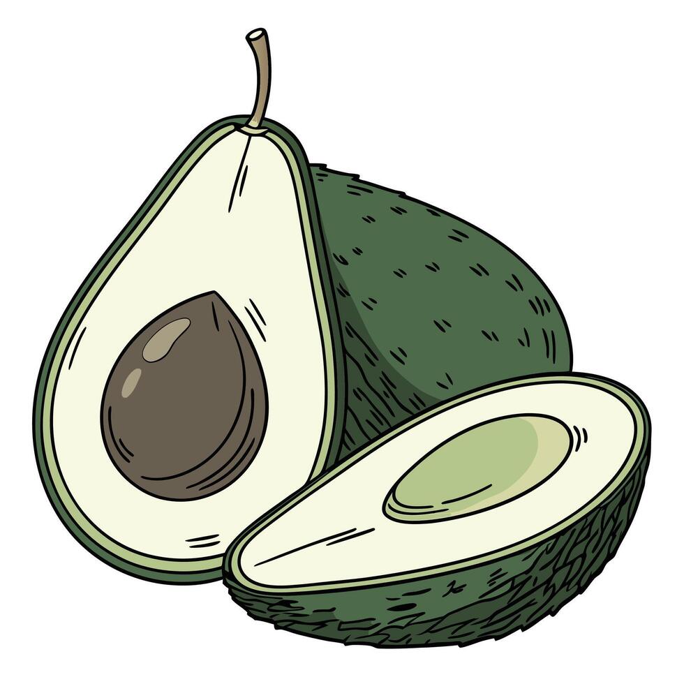 an avocado is cut in half and has been sliced vector