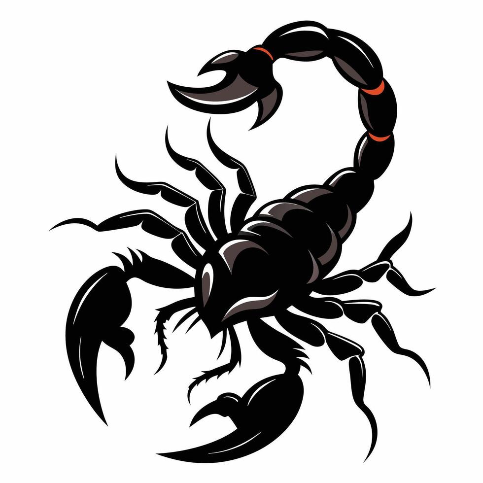 scorpion tattoo design illustration vector