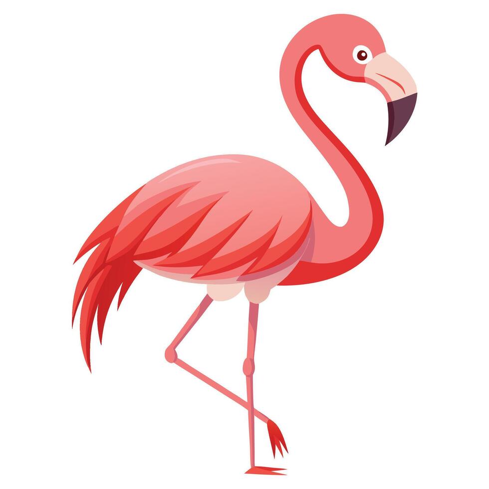 flamingo cartoon illustration isolated on white background vector