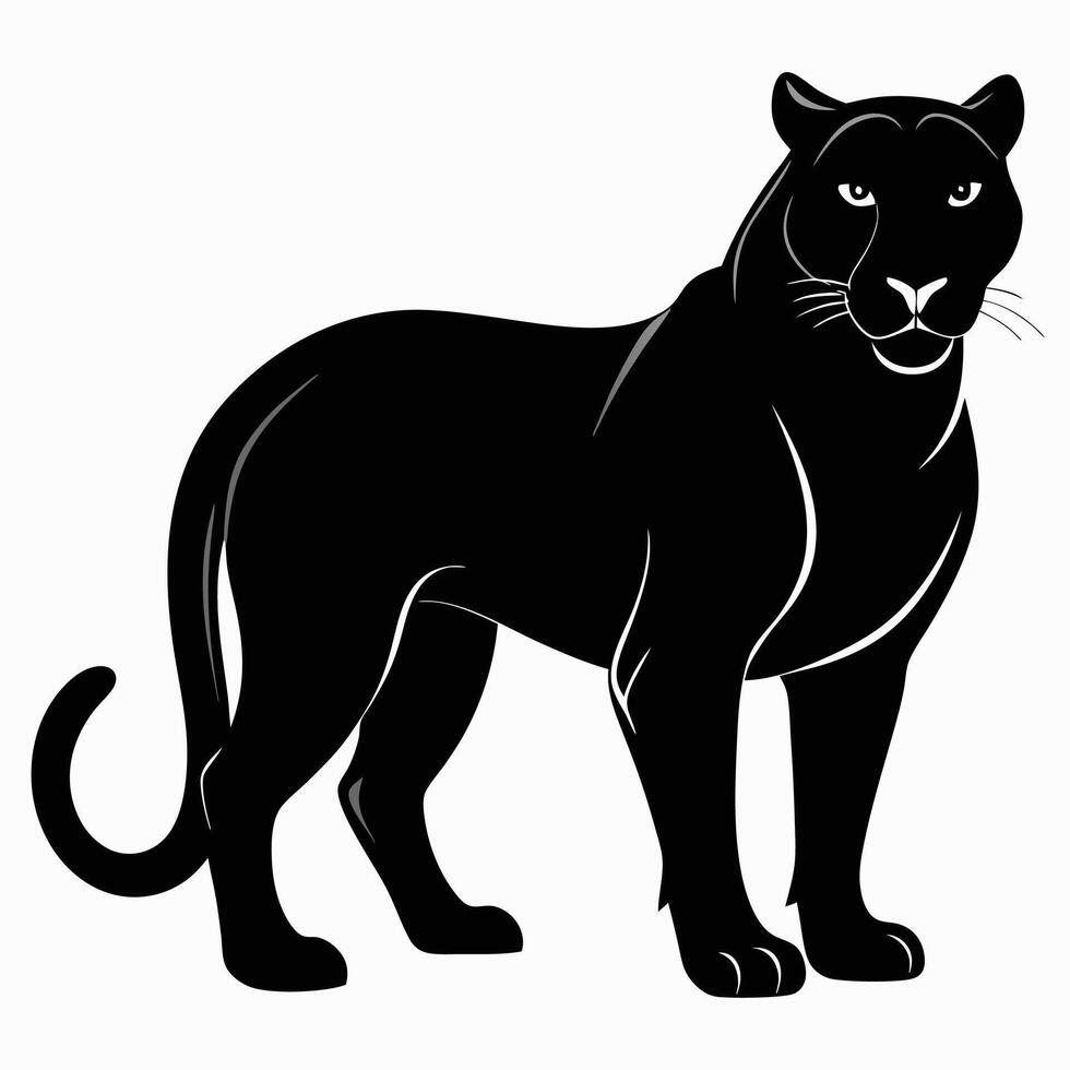 black panther on a white background vector