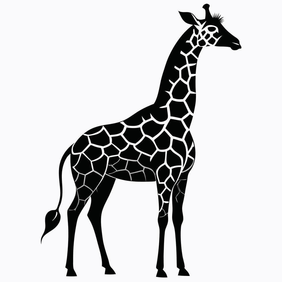 a black and white silhouette of a giraffe vector