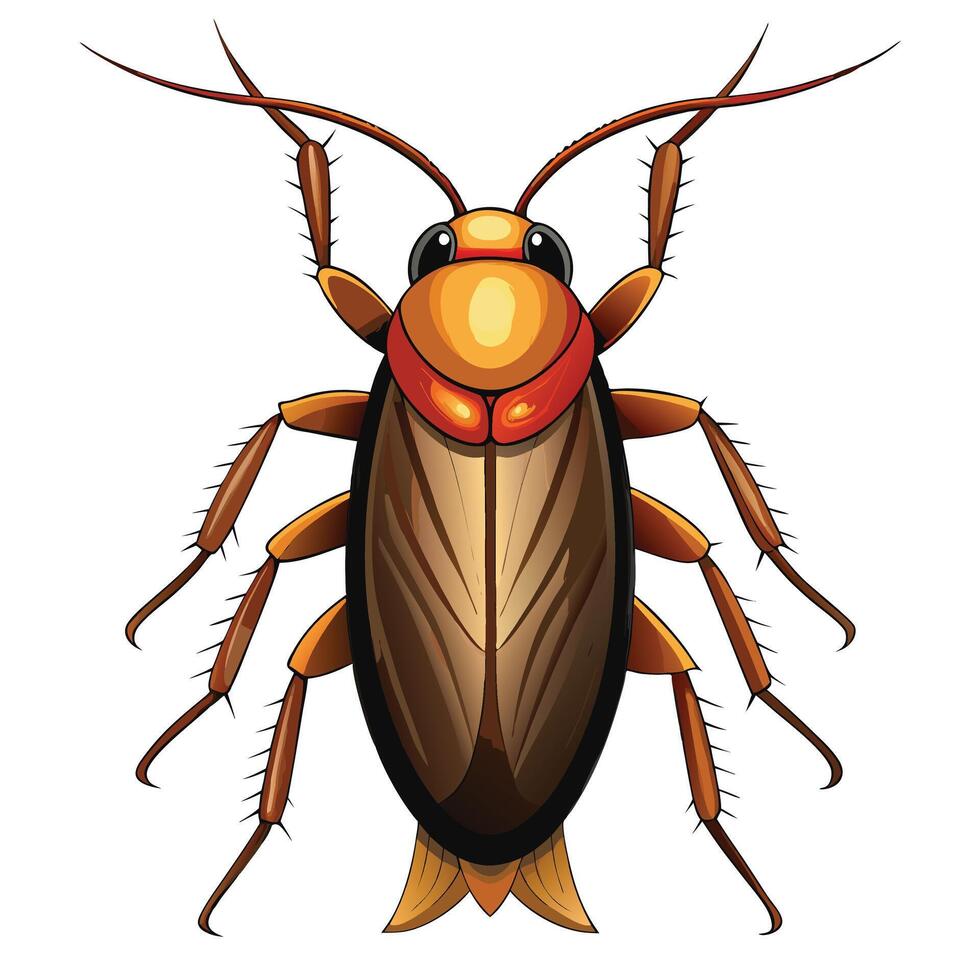 cockroach illustration art vector