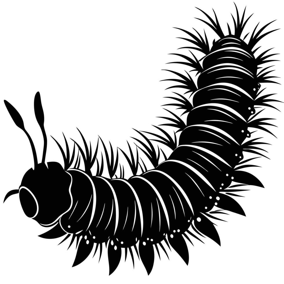 a black and white illustration of a caterpillar vector