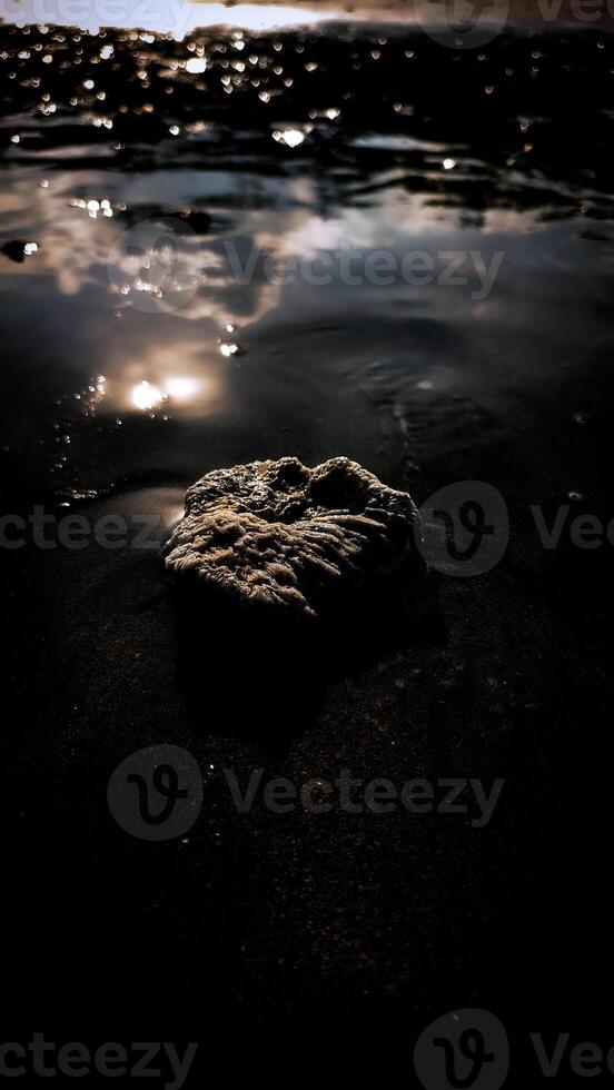 Ocean Rock Glimmering in Shallow Water photo