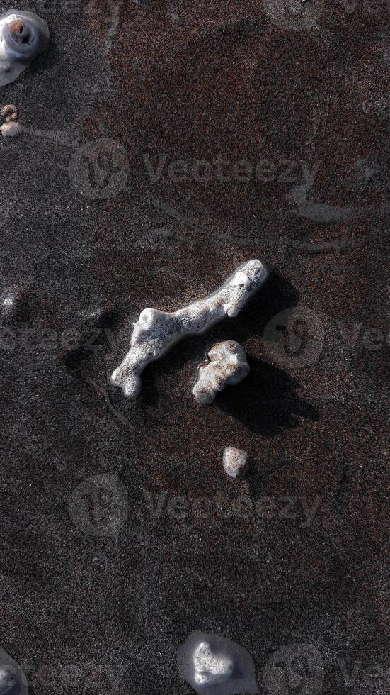 Coral Rocks on Bali Beach Sand photo