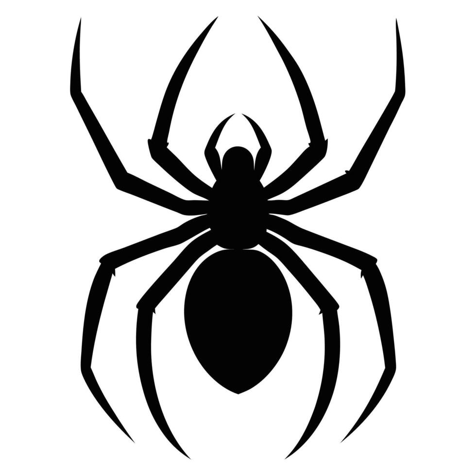 a black and white spider silhouette on a white background vector