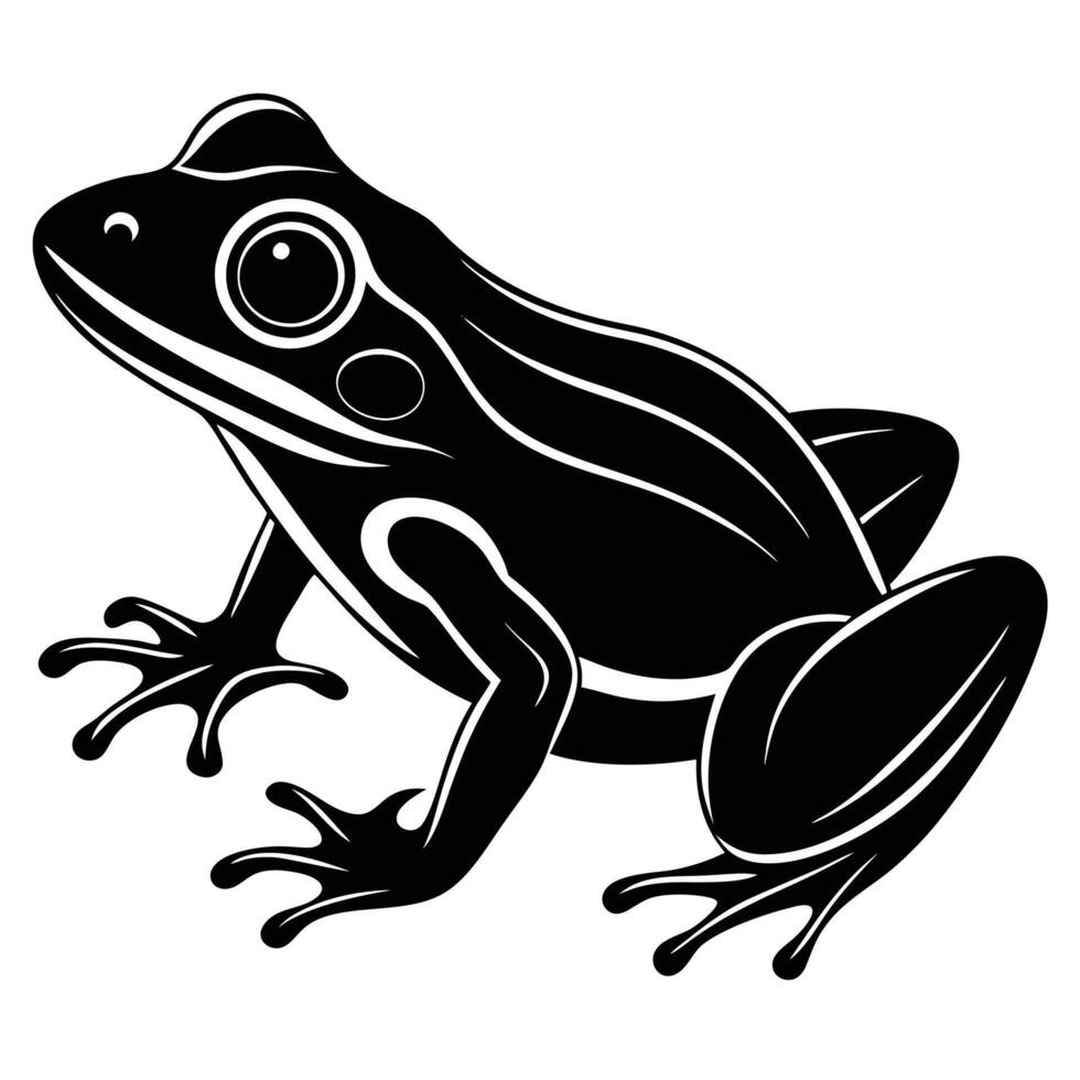 a black and white illustration of a frog vector