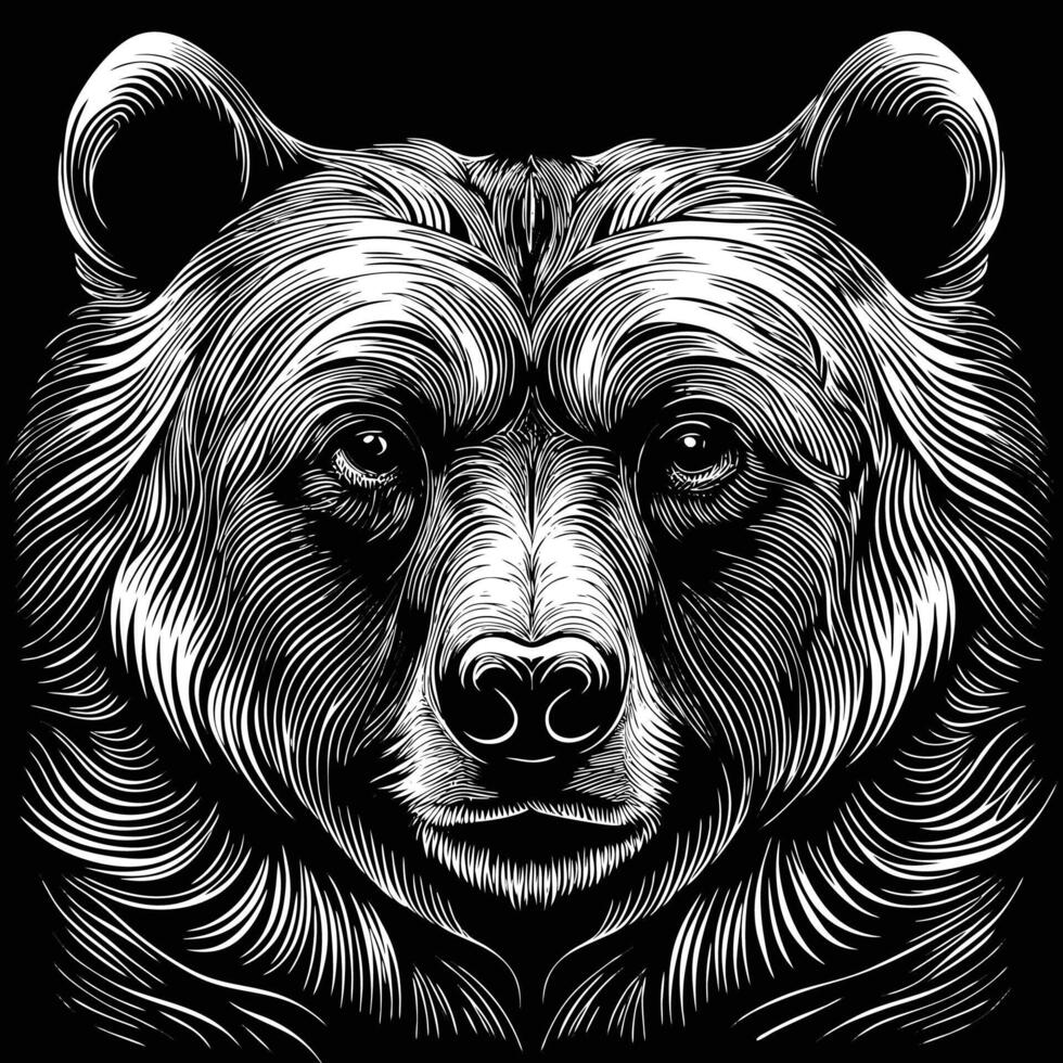 the bear's head is drawn in a woodcut style vector