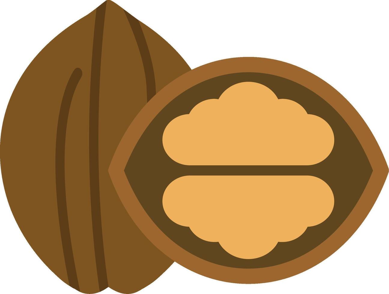 Walnut Flat Icon vector