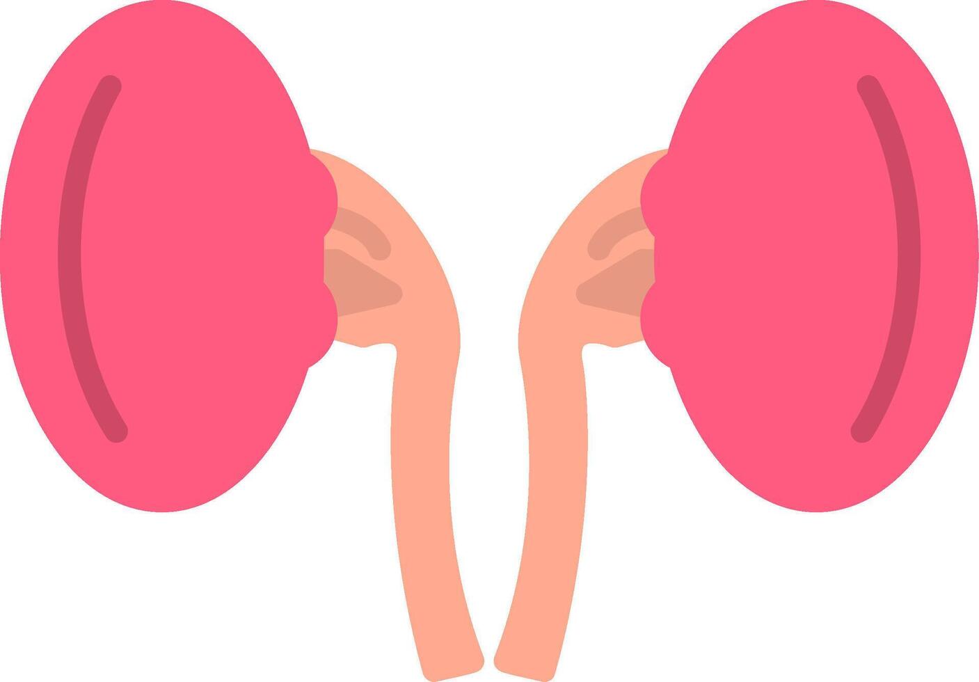 Kidneys Flat Icon vector