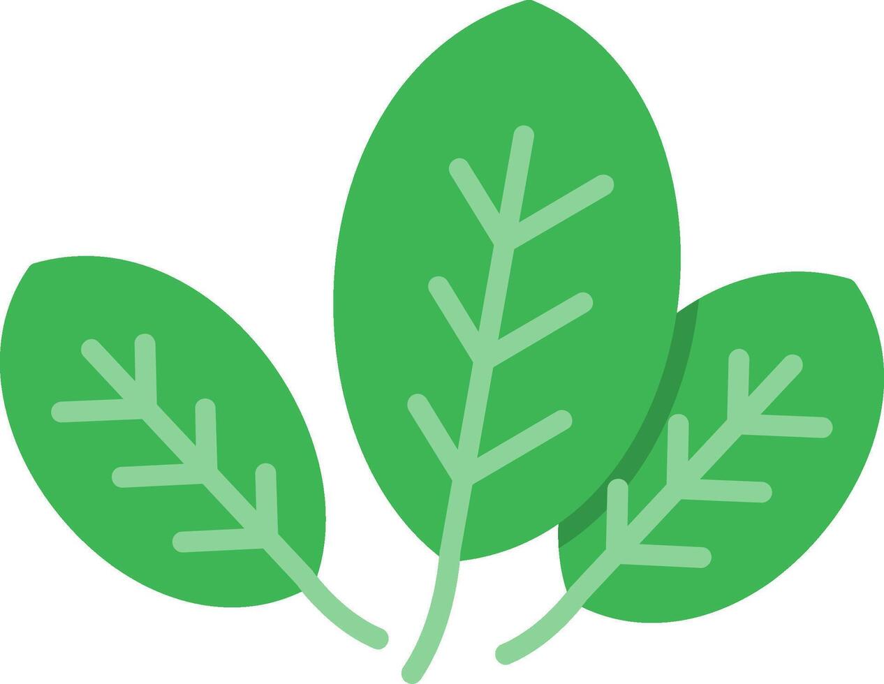 Basil Flat Icon vector