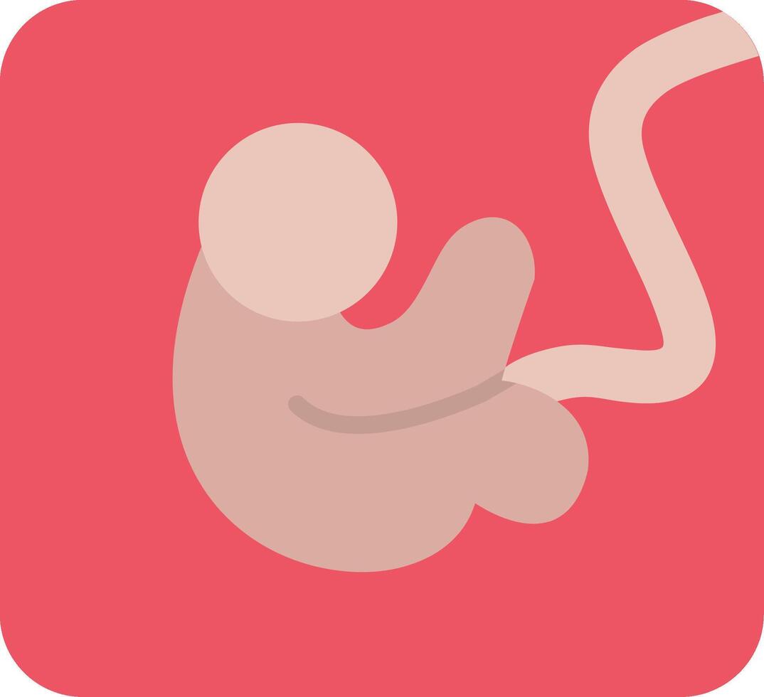 Fetus Flat Icon vector