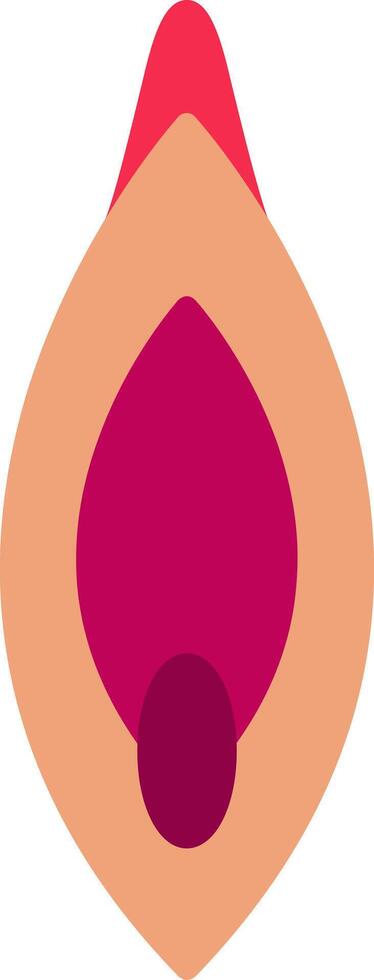 Vagina Flat Icon vector