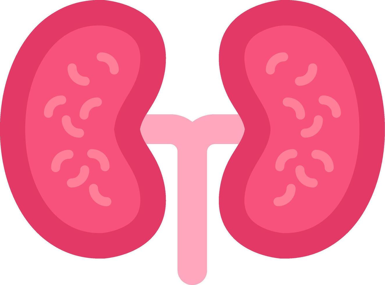 Kidney Flat Icon vector
