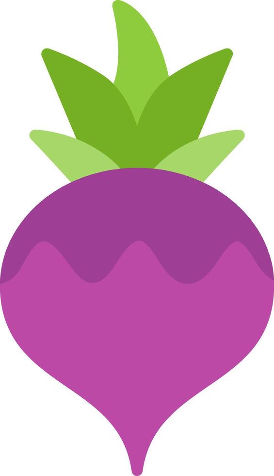 Turnip Flat Icon vector