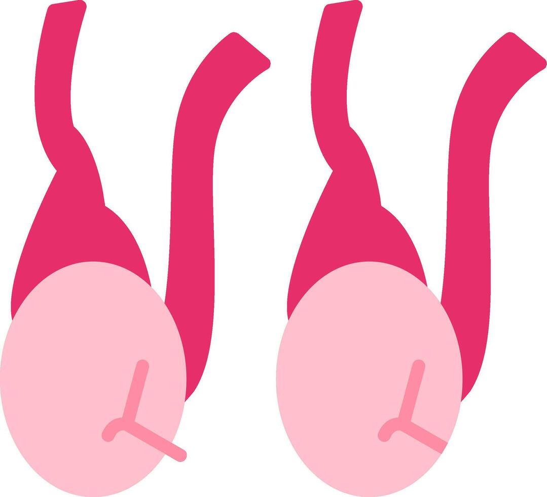 Testicles Flat Icon vector