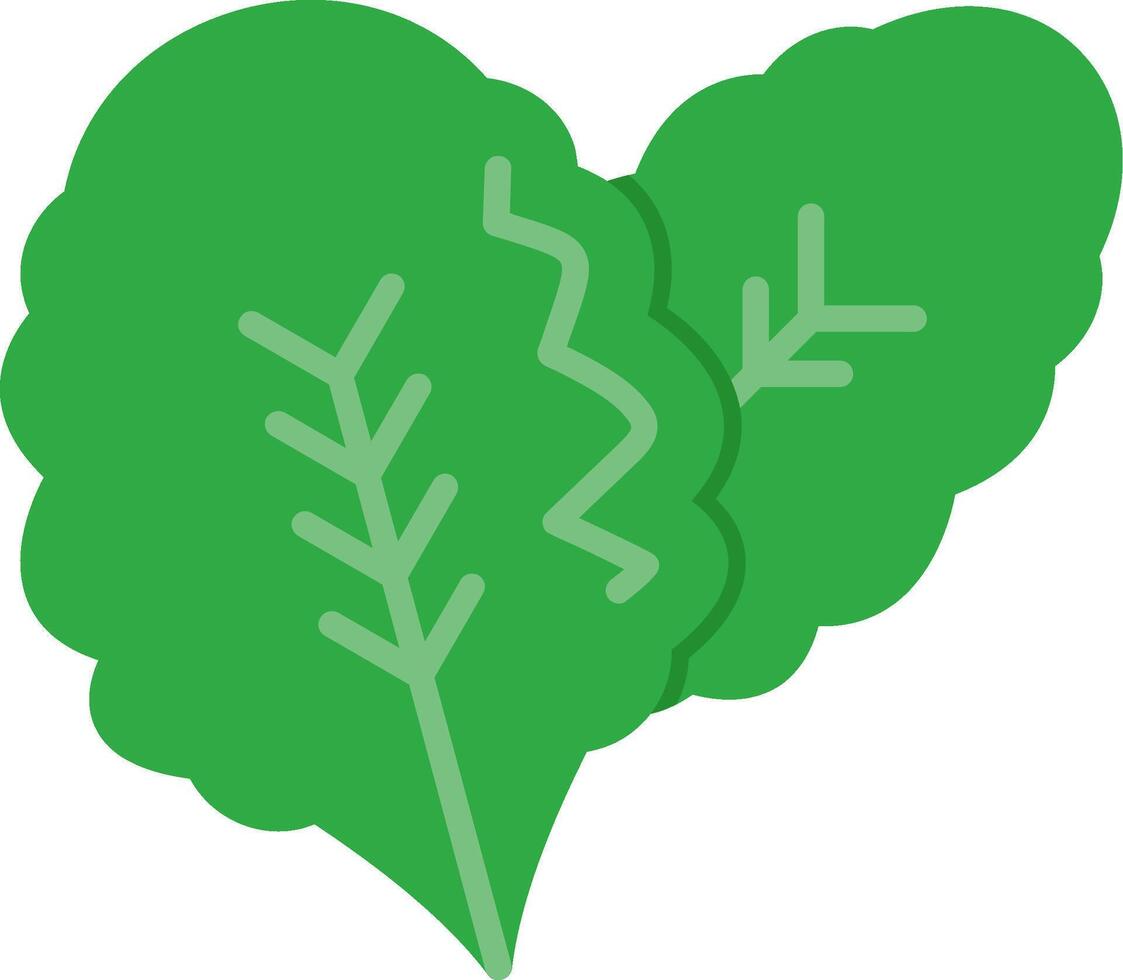 Lettuce Flat Icon vector