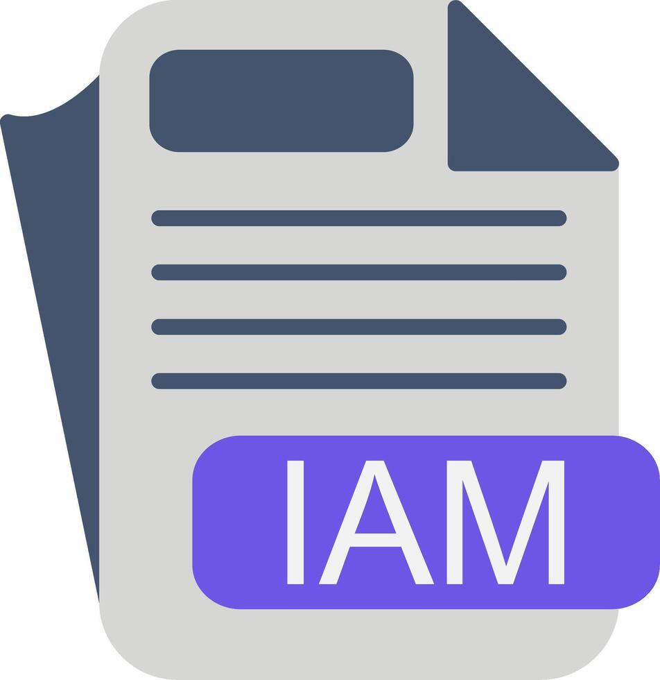 IAM File Format Flat Icon vector