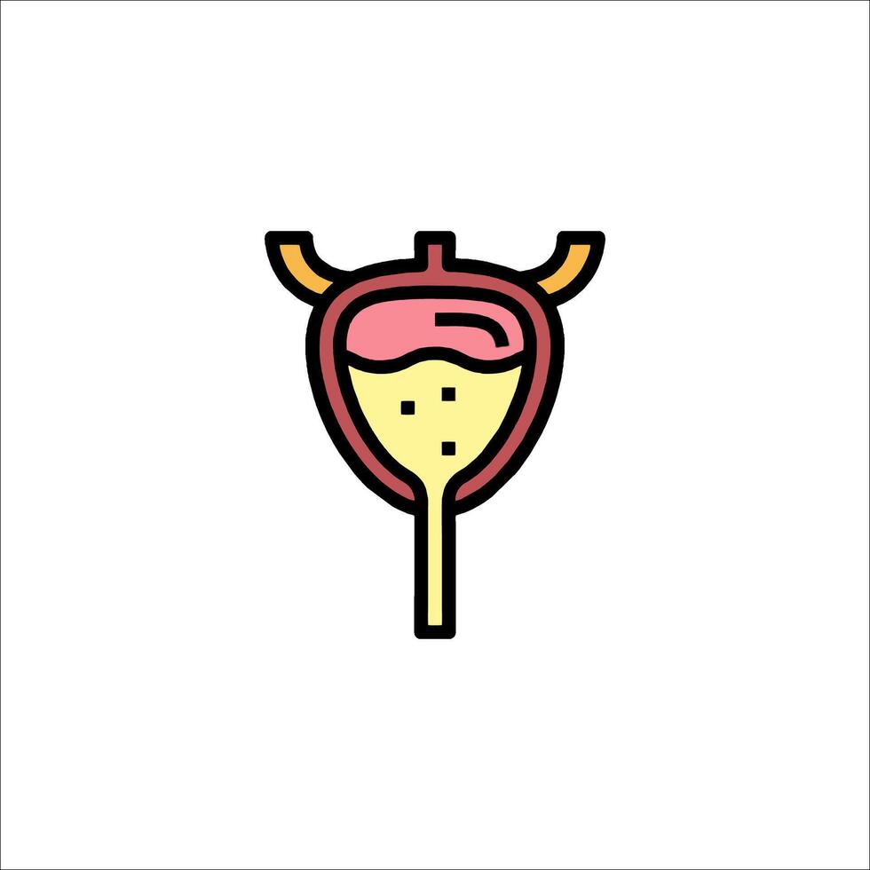 A cartoon illustration of a bladder vector