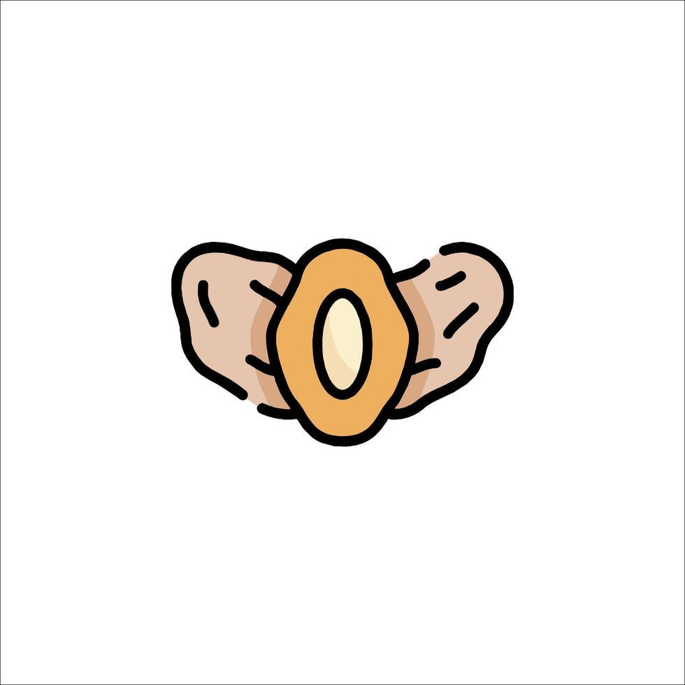 A walnut icon on a white background vector