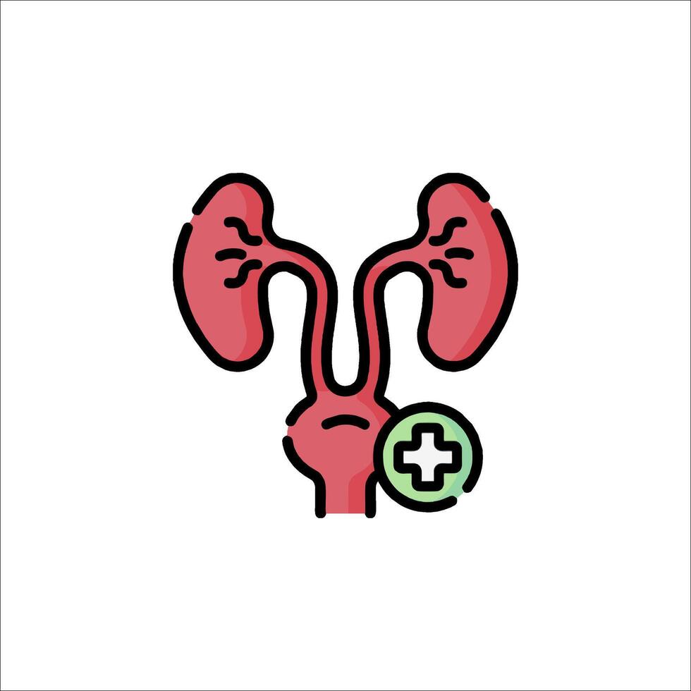 An illustration of a kidney and a plus sign vector