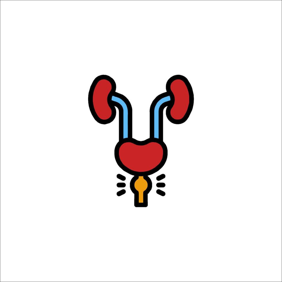A kidney icon with a red and blue heart vector