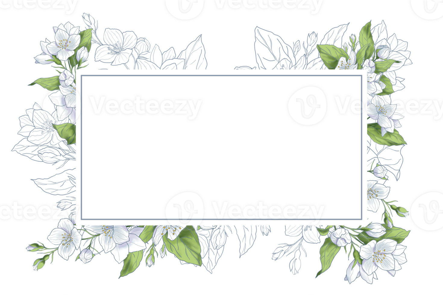 Hand drawn banner with jasmine flowers and it variation in line png