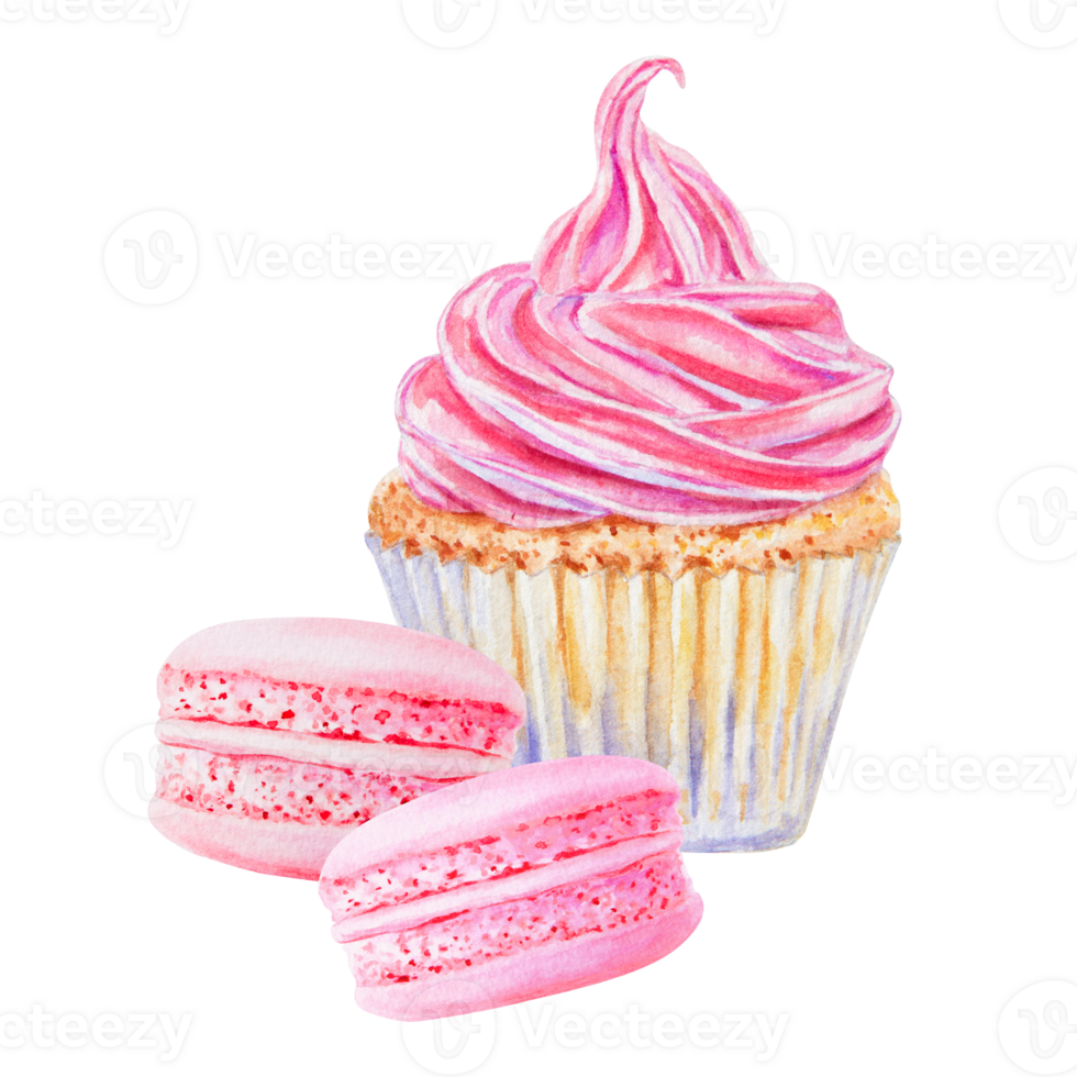 Watercolor illustration of a cupcake with vibrant pink swirled frosting and macarons. Isolated clipart is perfect for bakery branding, dessert menu, food-related design, greeting cards, party projects png