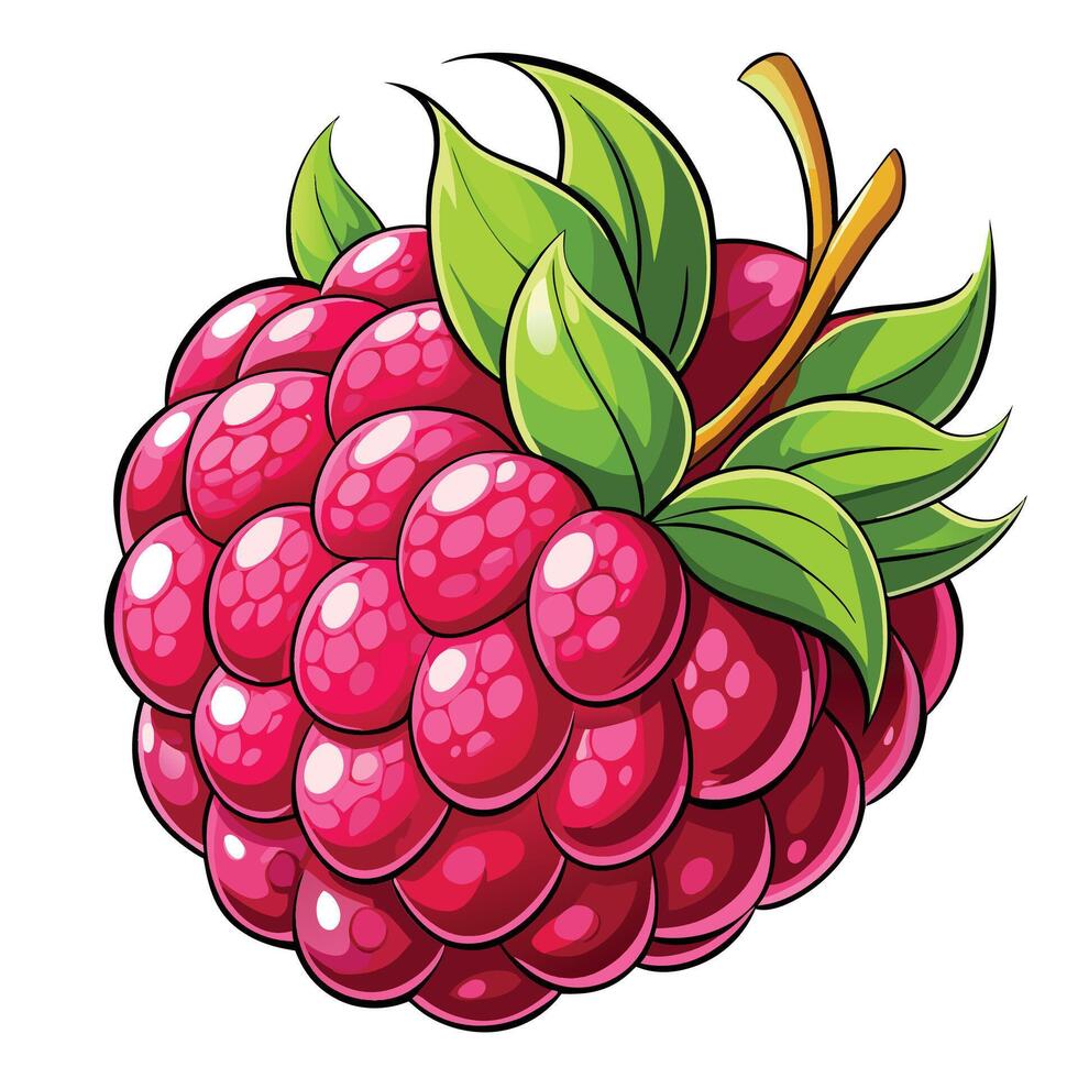a raspberry is shown with leaves and berries vector