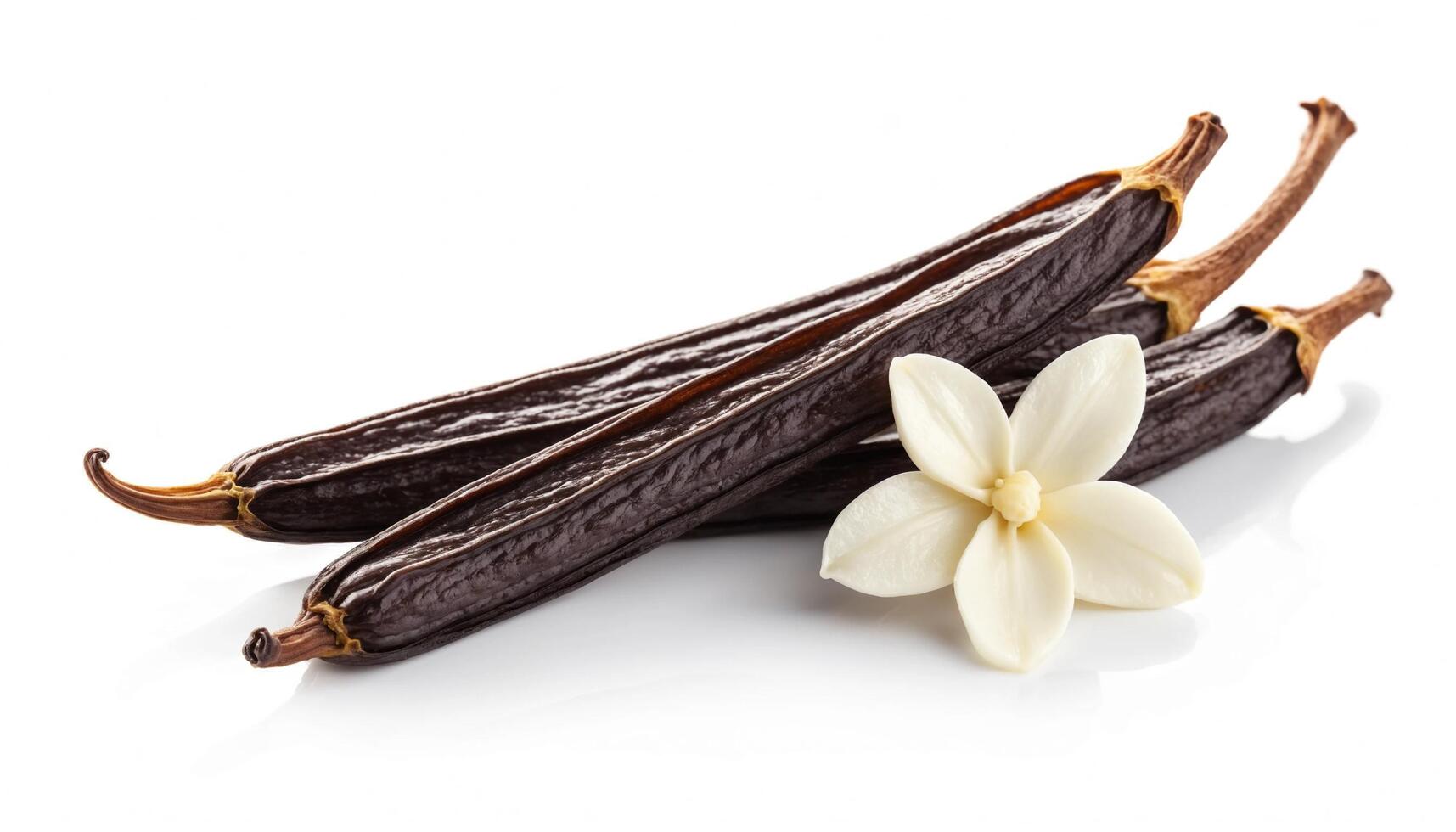 Vanilla flower with dried vanilla sticks and petal photo