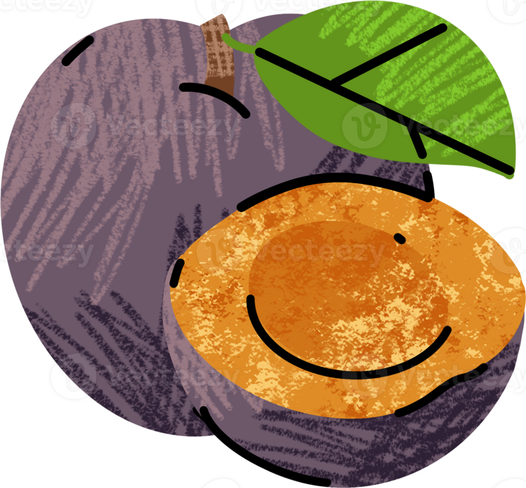 An illustration of a plump plum with a leaf png