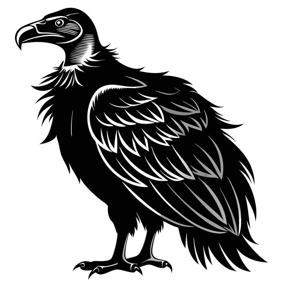 vulture black and white illustration vector