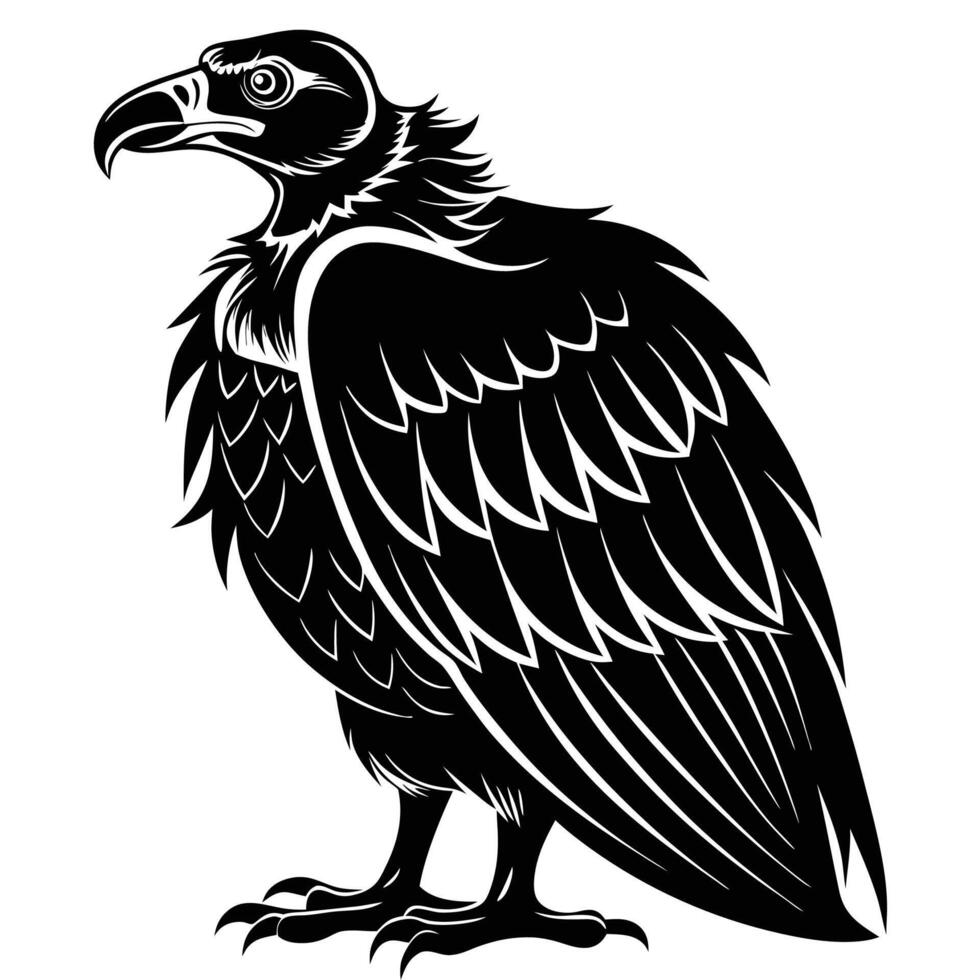 vulture black and white illustration vector