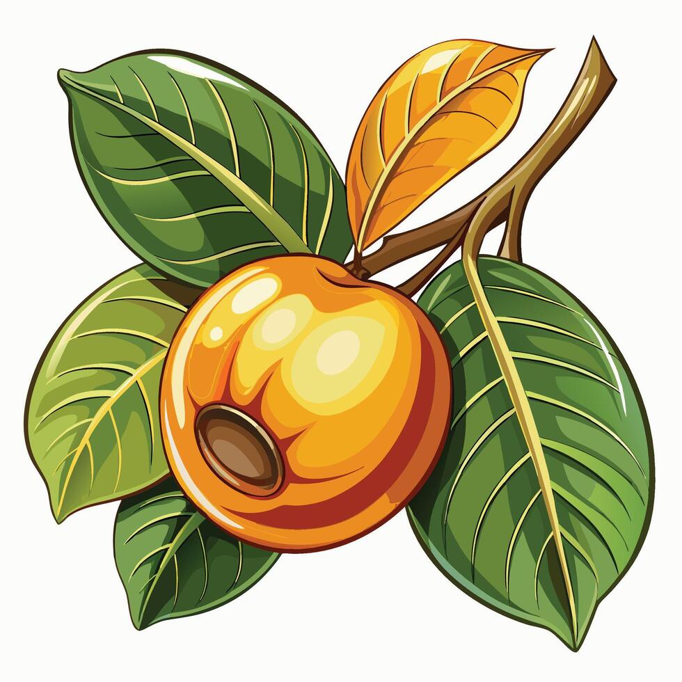 an orange fruit with leaves on a branch vector