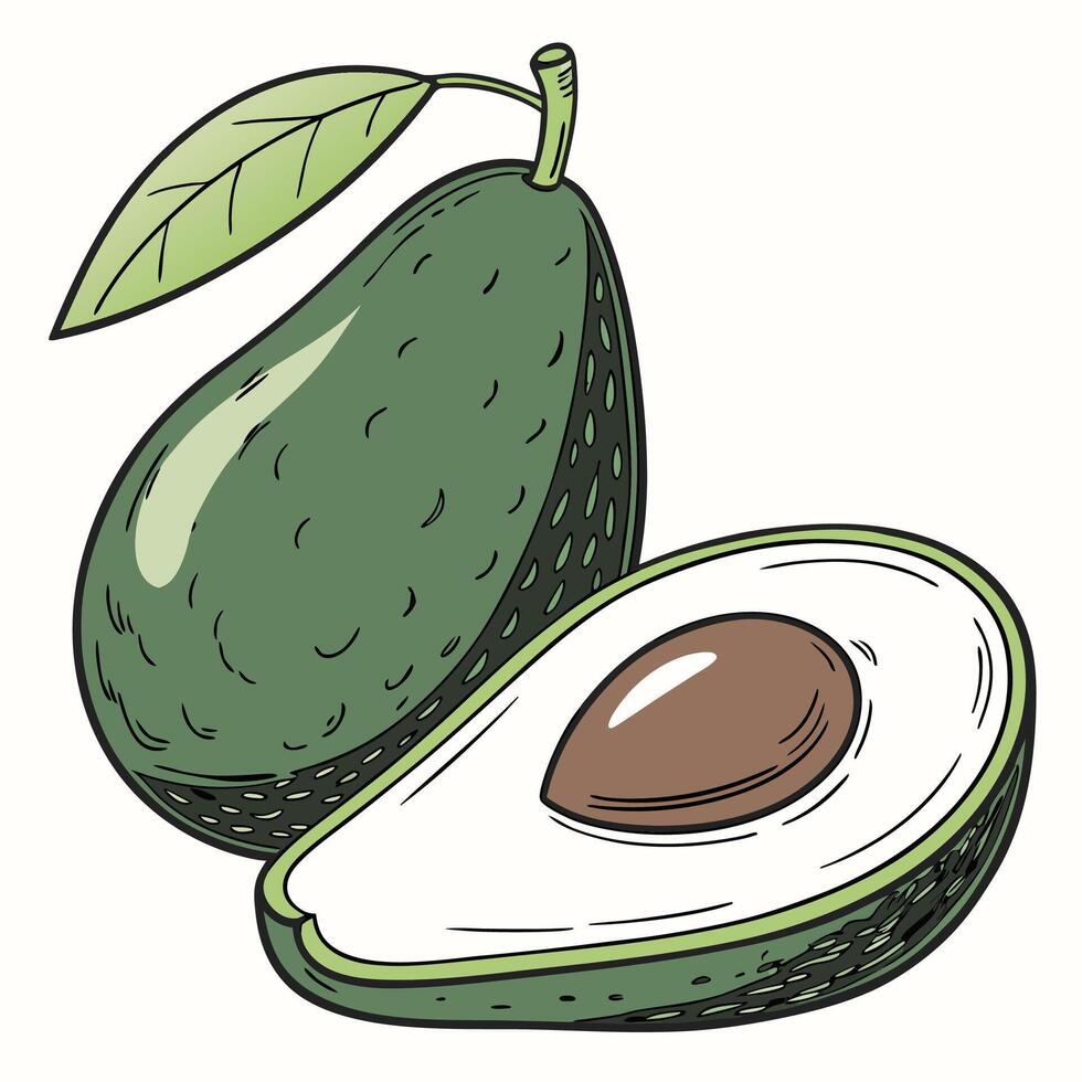 an avocado and a half are shown in this illustration vector