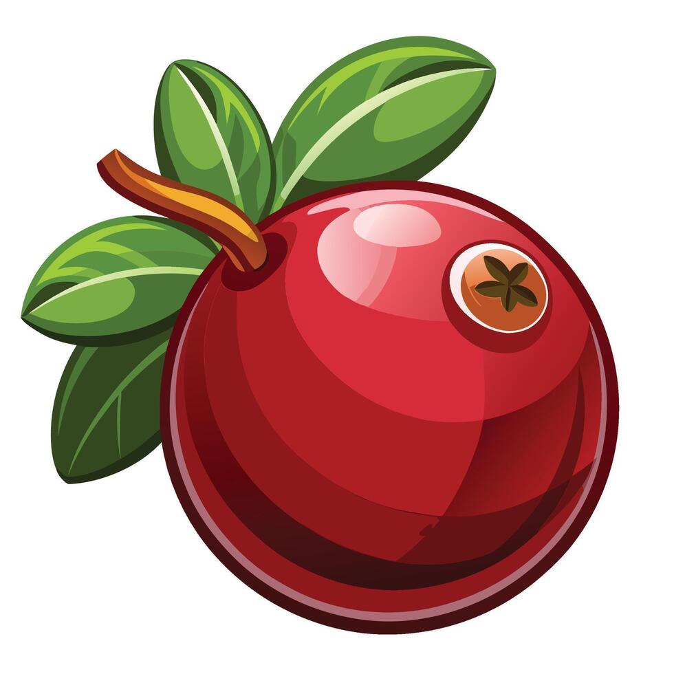 a red cranberry with leaves on it vector