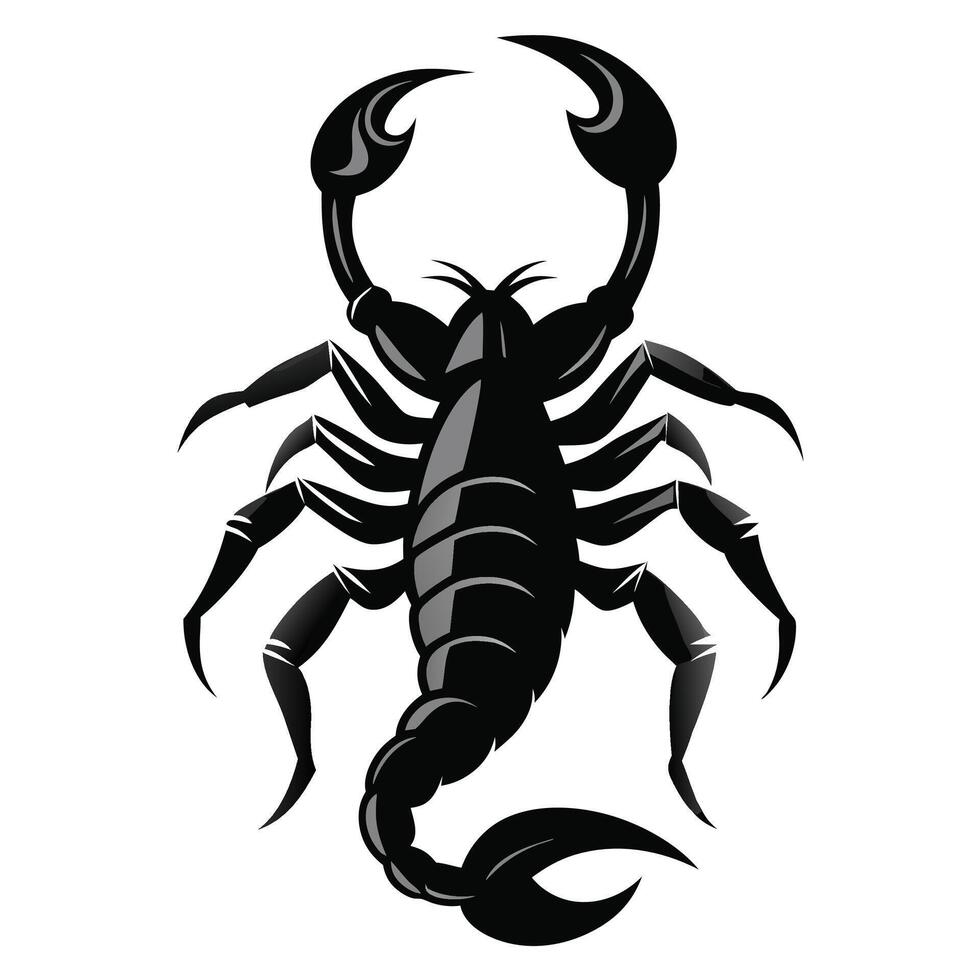 scorpion illustration on white background vector