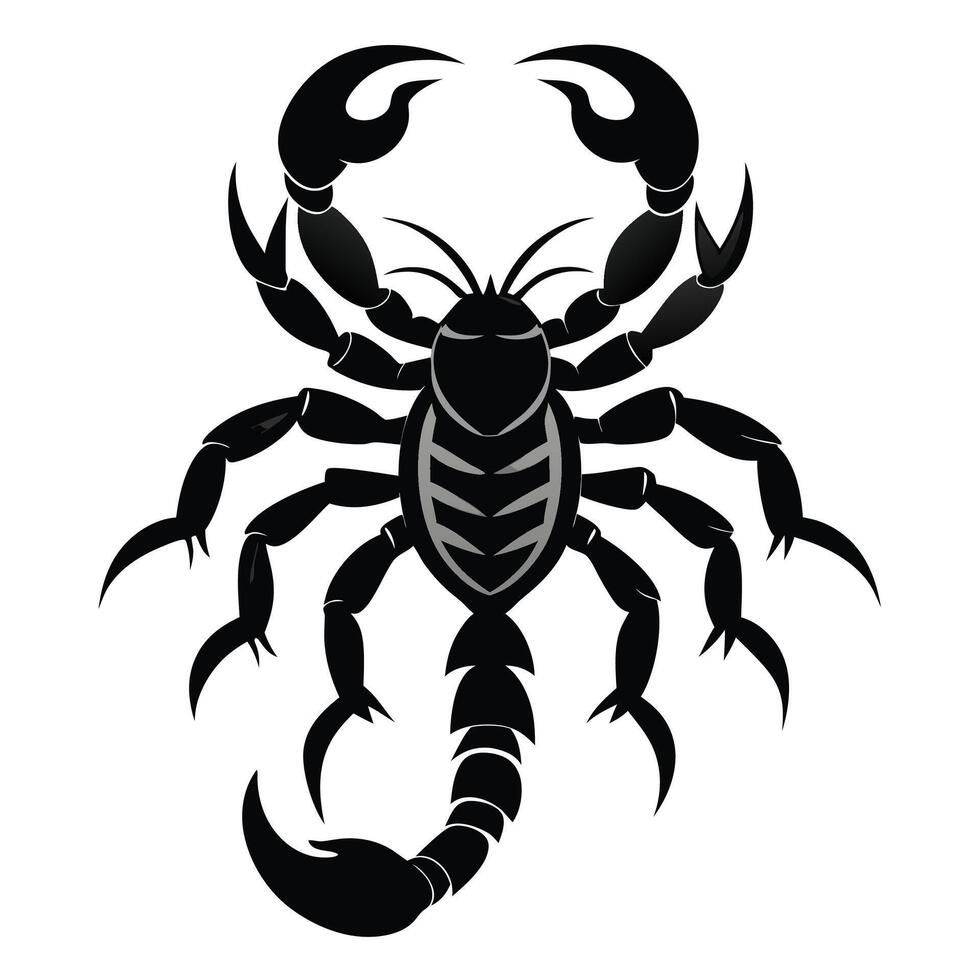 scorpion tattoo design illustration vector