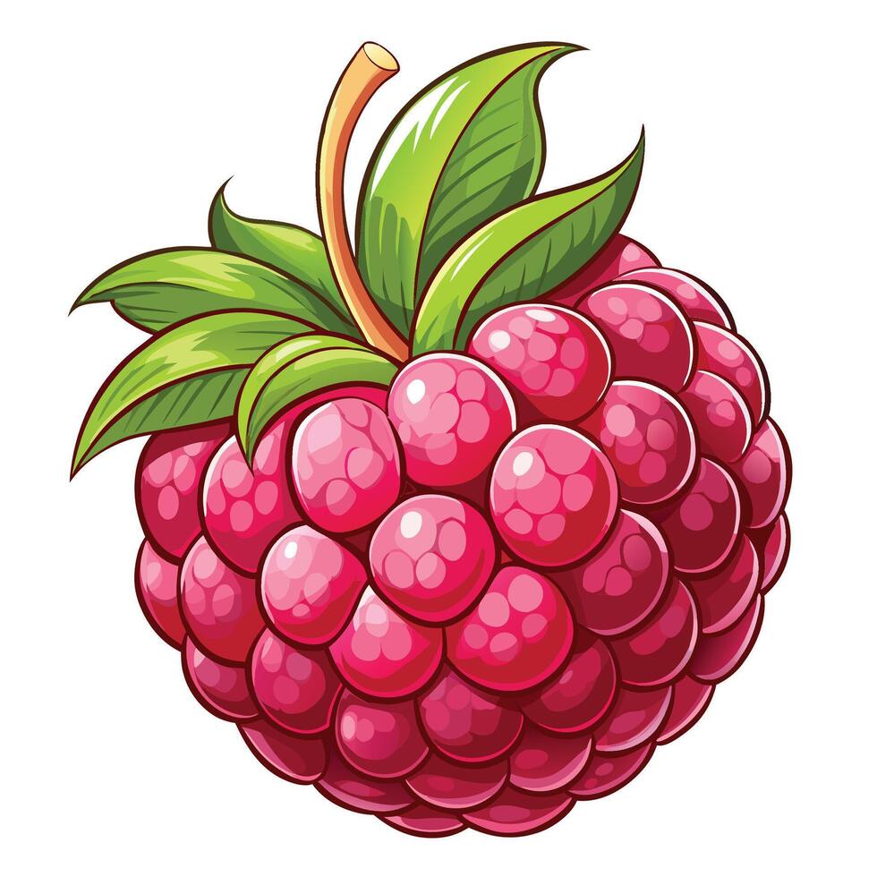 illustration of a raspberry fruit isolated on white background vector