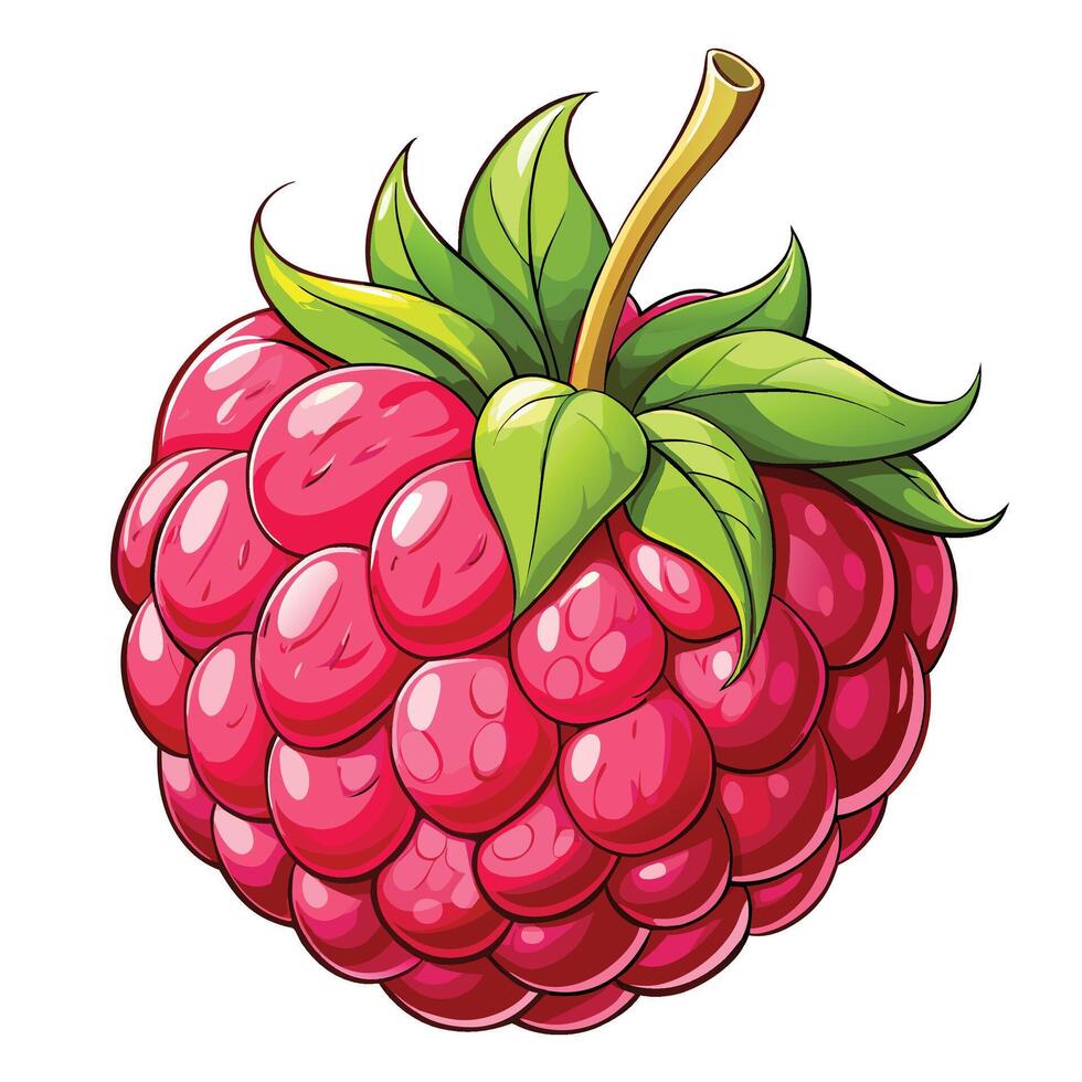 a raspberry is shown with a green leaf vector