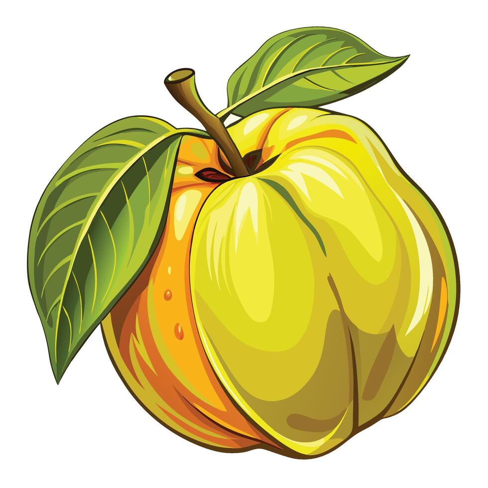 illustration of a yellow apple with green leaves vector