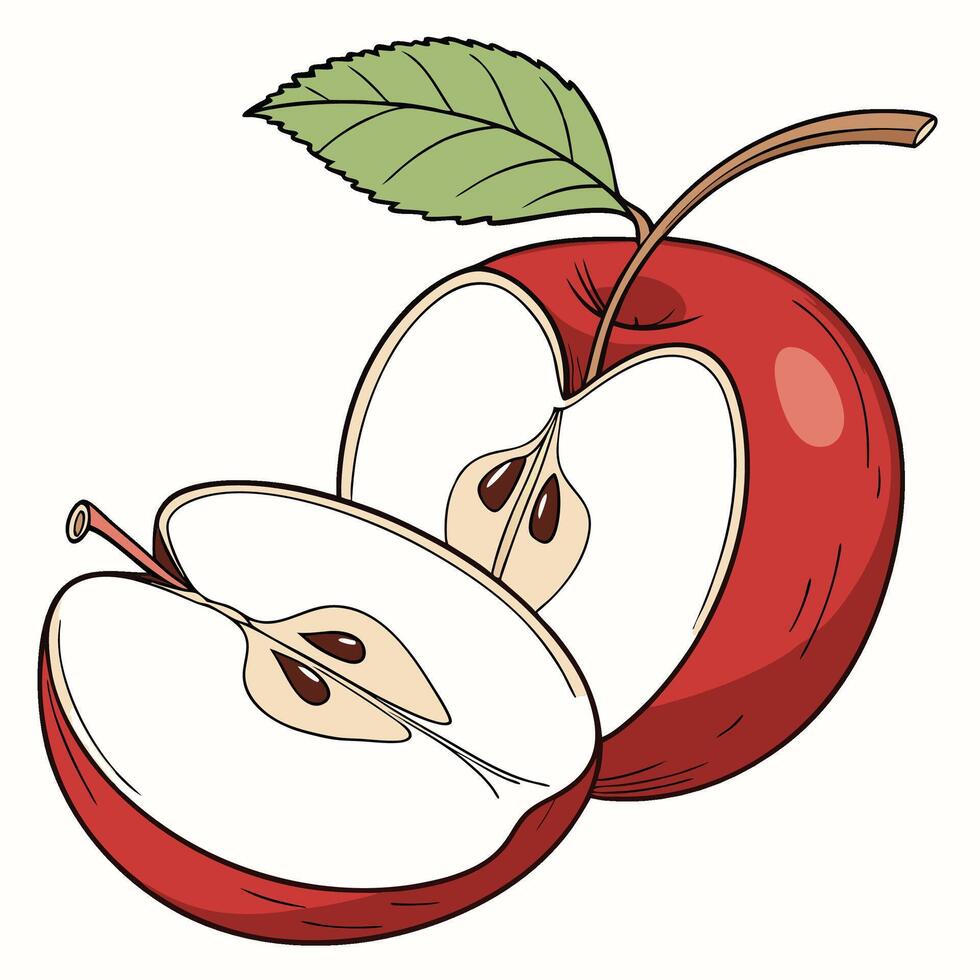 a red apple with a leaf on it and a slice cut in half vector