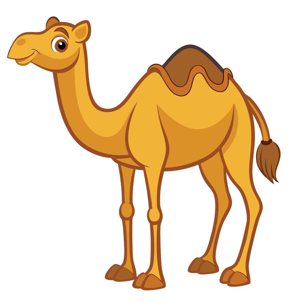 cartoon camel isolated on white background vector